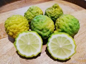 Essential health tips for Makrut lime