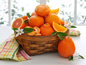 Importance of Navel Oranges