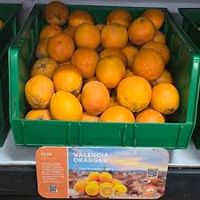 Valencia Oranges Importance