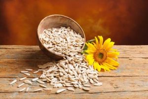 Nutritional Impacts of Sunflower Seeds