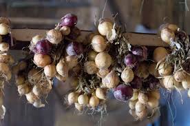 Nutritional Value of White Onions