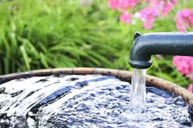 Toxins and Gastroenteritis