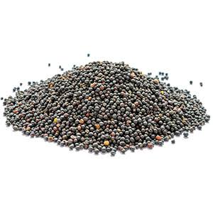 Nutritional information of Canola seeds