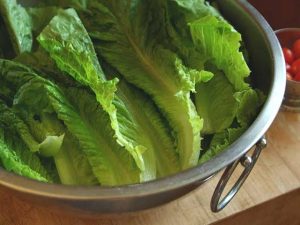 Nutritional impacts of Romaine Lettuce