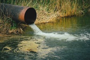 Herbicides and Environmental Management
