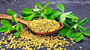 Cholesterol and natural herbs