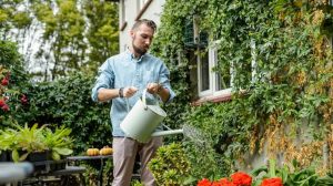 Watering Gardens Rules