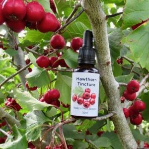 Nutritional Value of Hawthorn