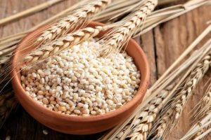 Barley History