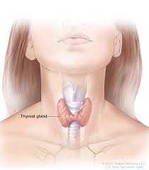 Hypothyroidism Tips