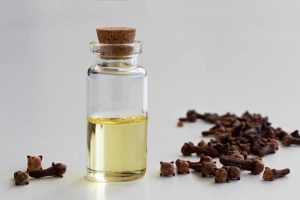 Importance of Clove Oil