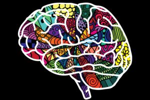 Schools and Arts Education