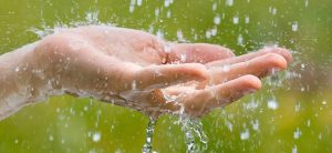 Rainwater Benefits