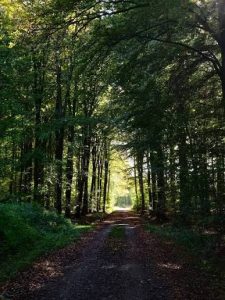 Tips for Choosing the Right Path