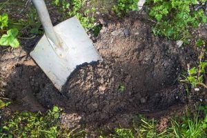 Planting Soils