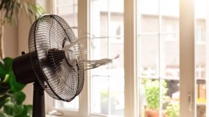 Tips for Summer Season