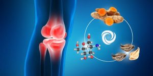 Collagens Roles in the Body