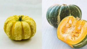 Benefits of Pumpkin Vegetable