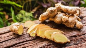 Ginger Health Components